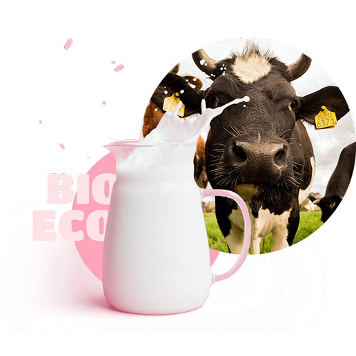 Milk and Cow